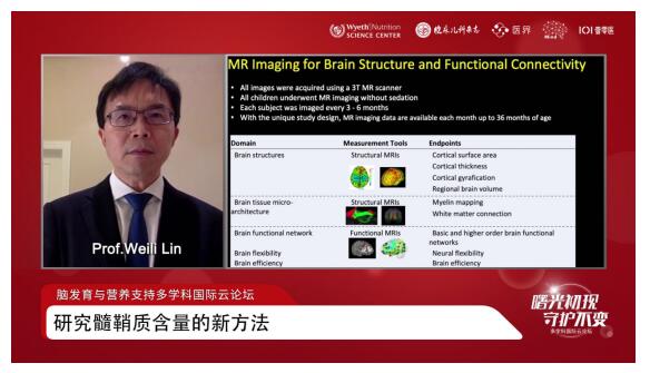 中外顶级专家聚焦脑发育与营养支持，中国脑智计划即将启动