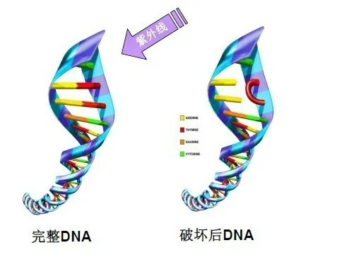 大壹健康助力闽侯实验中学学校消毒防控工作