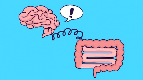 想要职场活力“益”直在线?你需要从“肠”计议