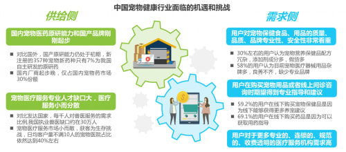 一槑宠物:拒绝“洋标签”,国产高品质宠物营养品标杆