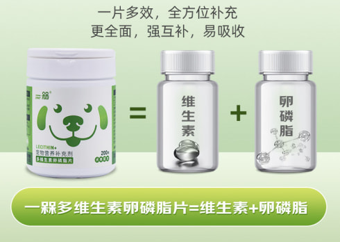 一槑宠物:拒绝“洋标签”,国产高品质宠物营养品标杆