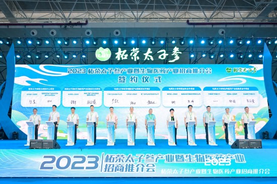 2023̫ӲβҵҽҩҵƽտĻ