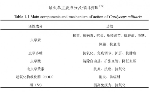 秋冬养肺正当时：蛹虫草的食养与药补智慧